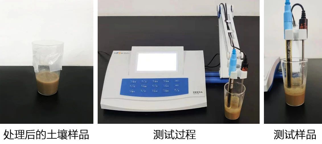 土壤酸堿，一測(cè)便知(圖2)